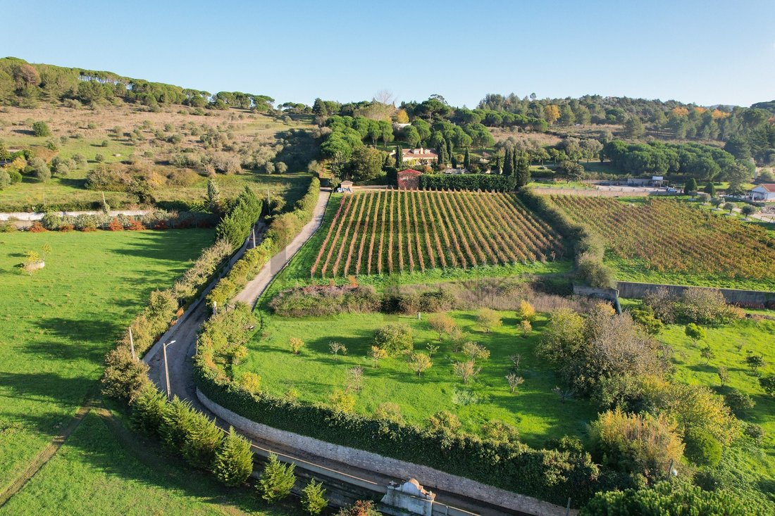 Finca à Azeitao (Sao Lourenco et Sao Simao), Setúbal Municipality, Portugal 4 - 18598569