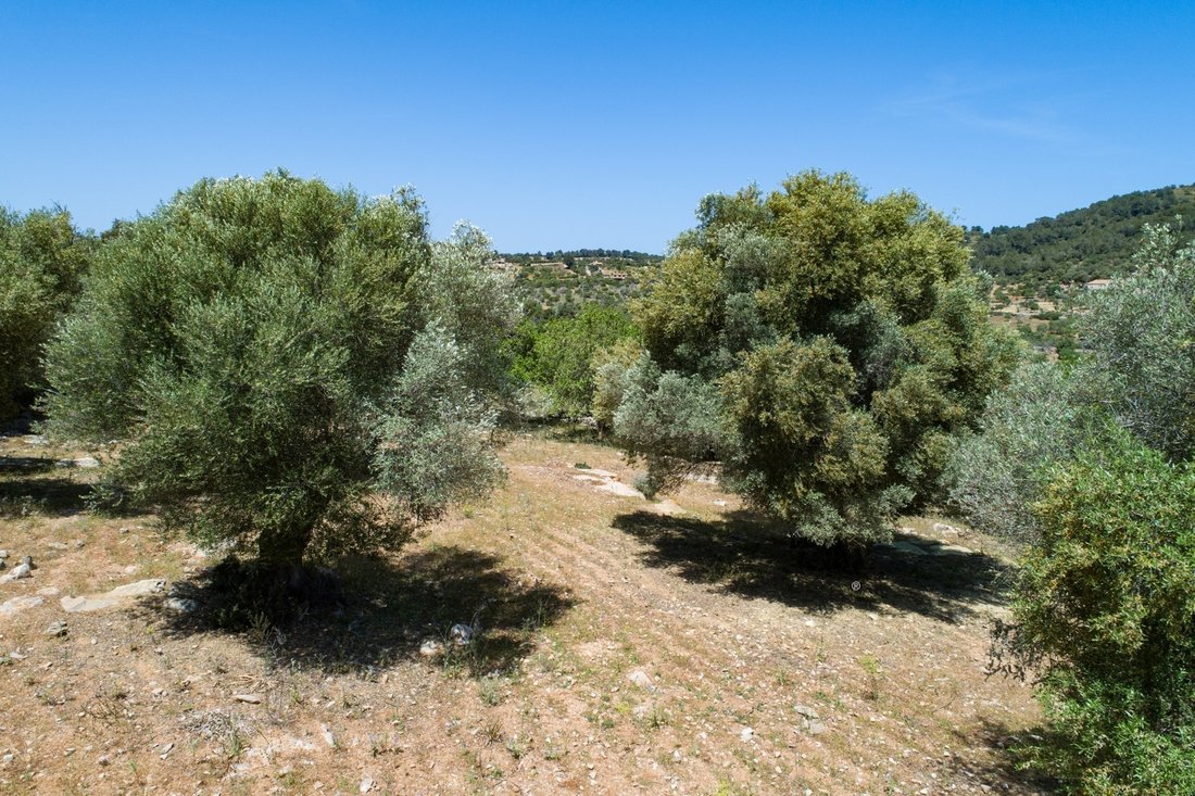 Land in Artà, Balearische Inseln, Spanien 4 - 18596324