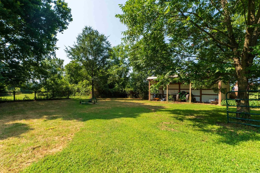 Farm Ranch in Imboden, Arkansas, United States 3 - 18601100