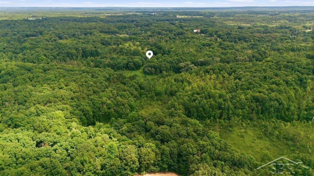House in North Branch, Michigan, United States 5 - 18596568