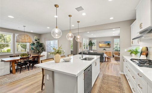 House in San Juan Capistrano, California, United States 1
