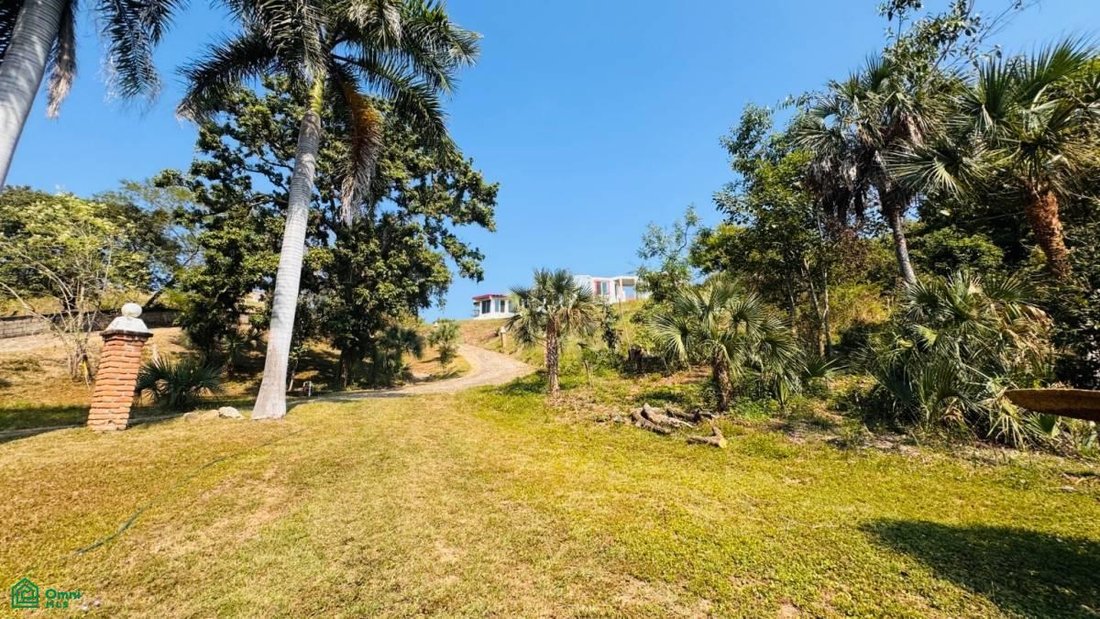 Land in Las Palmas de Arriba, Jalisco, Mexico 2 - 17811036