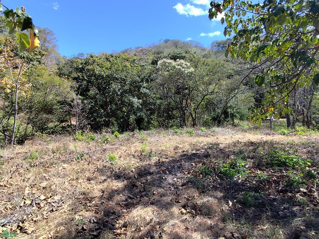 Land in Pinilla, Guanacaste Province, Costa Rica 3 - 17814303
