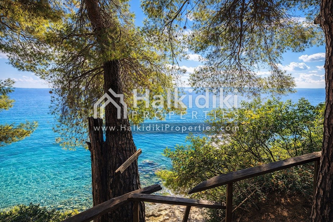 Land in Sithonia, Macedonia and Thrace, Greece 1 - 11865149