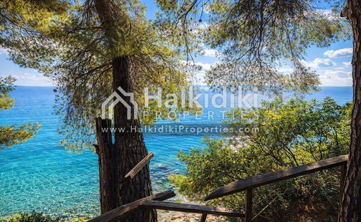 Land in Sithonia, Macedonia and Thrace, Greece 1