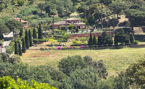 Villa in Nord Est, Bormes-les-Mimosas, France 1