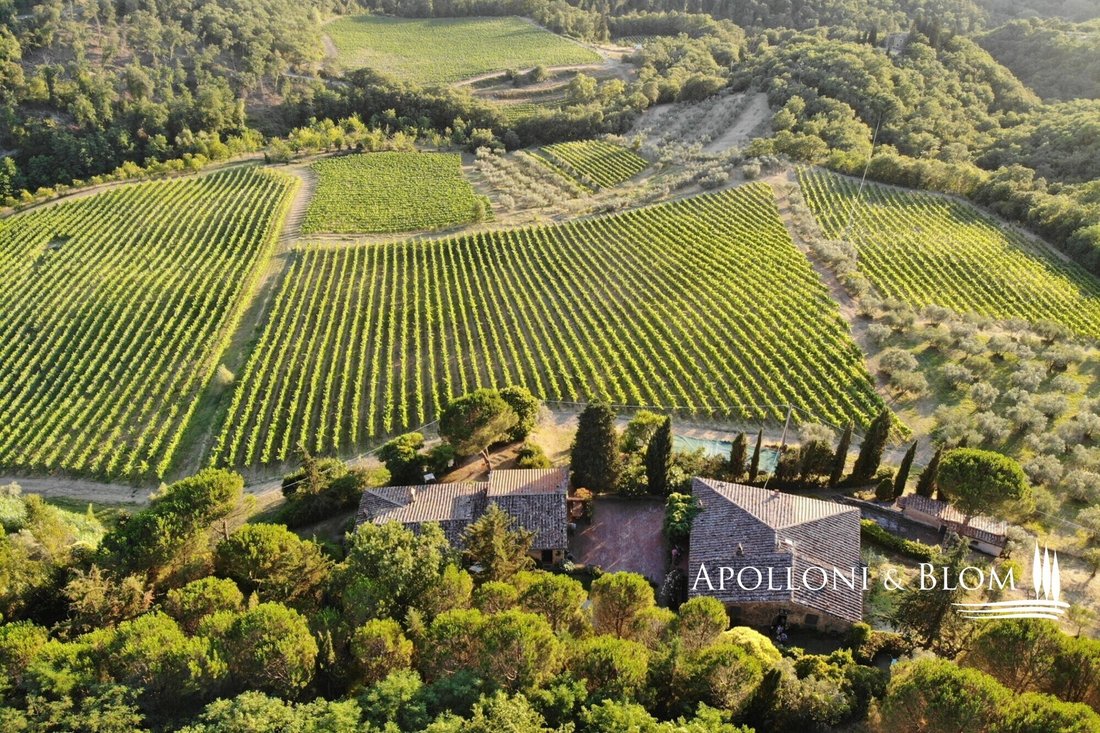 Center, Greve in Chianti, Tuscany 2 - 18601489