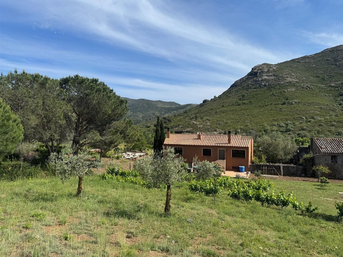 Chalet in Llanca, Catalonia, Spain 3 - 18597084