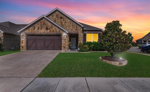 House in Lewisville, Texas, United States 1