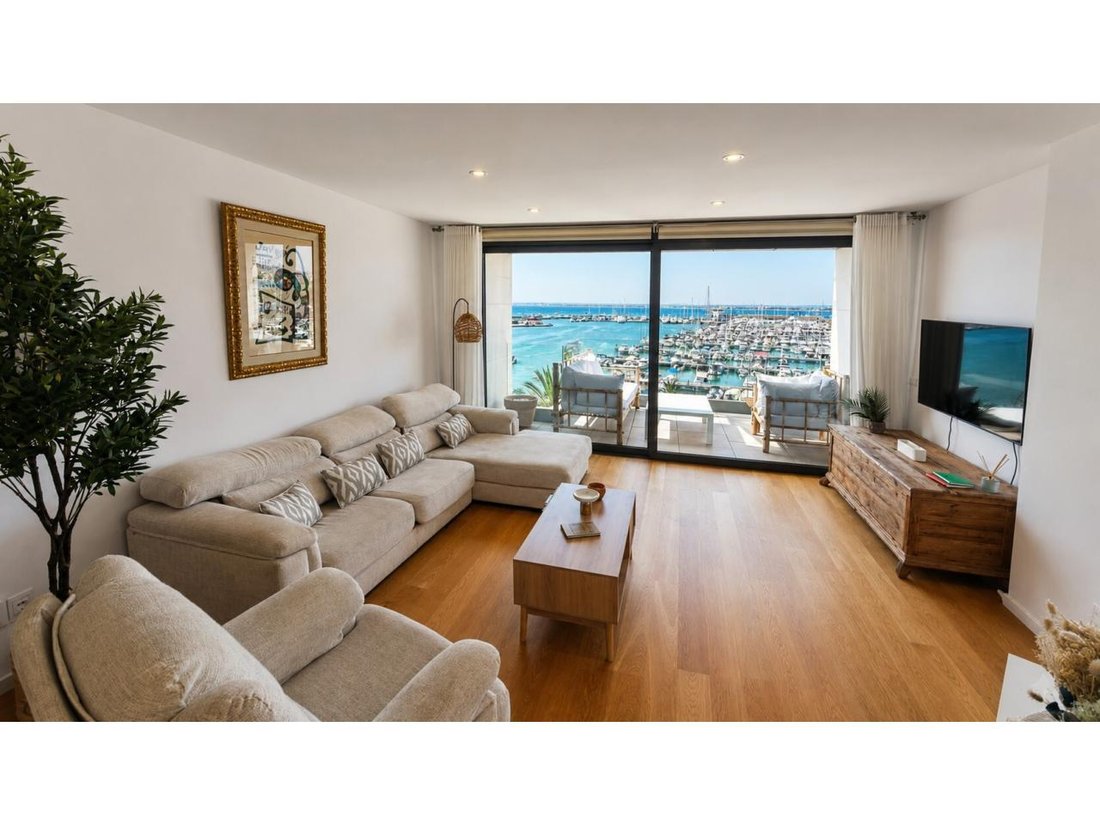 Apartment in Alcudia, Balearic Islands, Spain 5 - 18192503