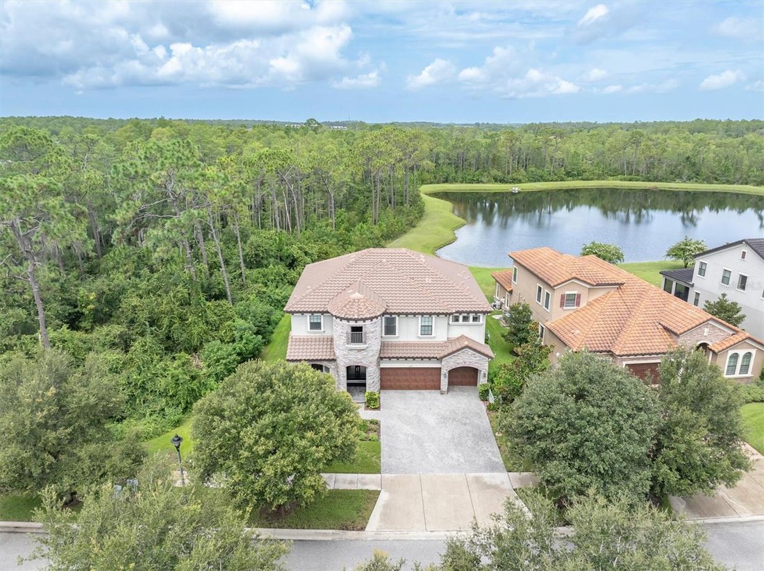 House in Odessa, Florida, United States 4 - 18601292