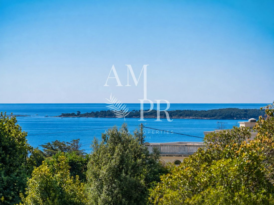 Villa in La Maure-Super Cannes, Vallauris, France 2 - 16042488