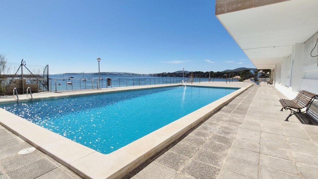 Apartment in Portals Nous, Calvia, Balearic Islands 1 - 18596870