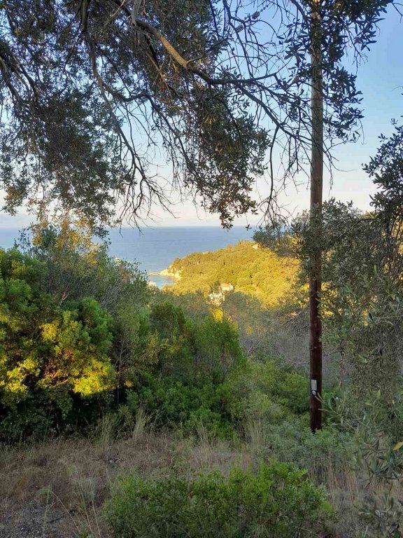 Land in Paxi, Peloponnese, Western Greece and the Ionian, Greece 4 - 18596846