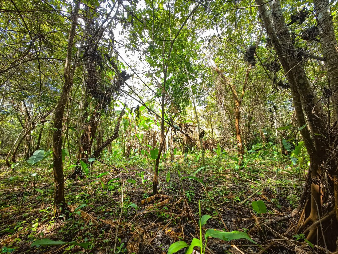 Terrain à Santa Teresa, Puntarenas, Costa Rica 1 - 17810867