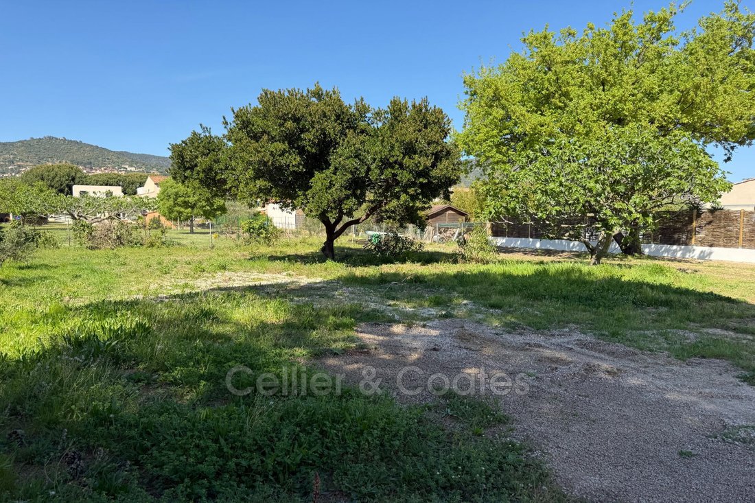 Land in Nord Est, Bormes-les-Mimosas, France 1 - 18598117