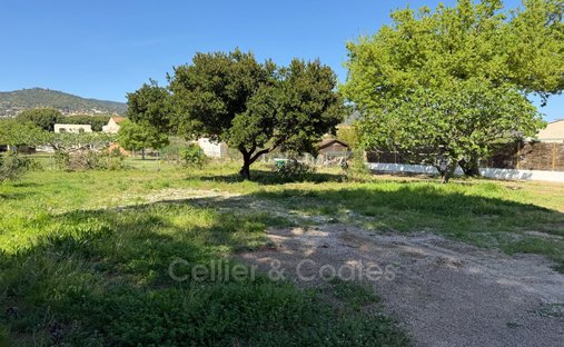 Land in Nord Est, Bormes-les-Mimosas, France 1