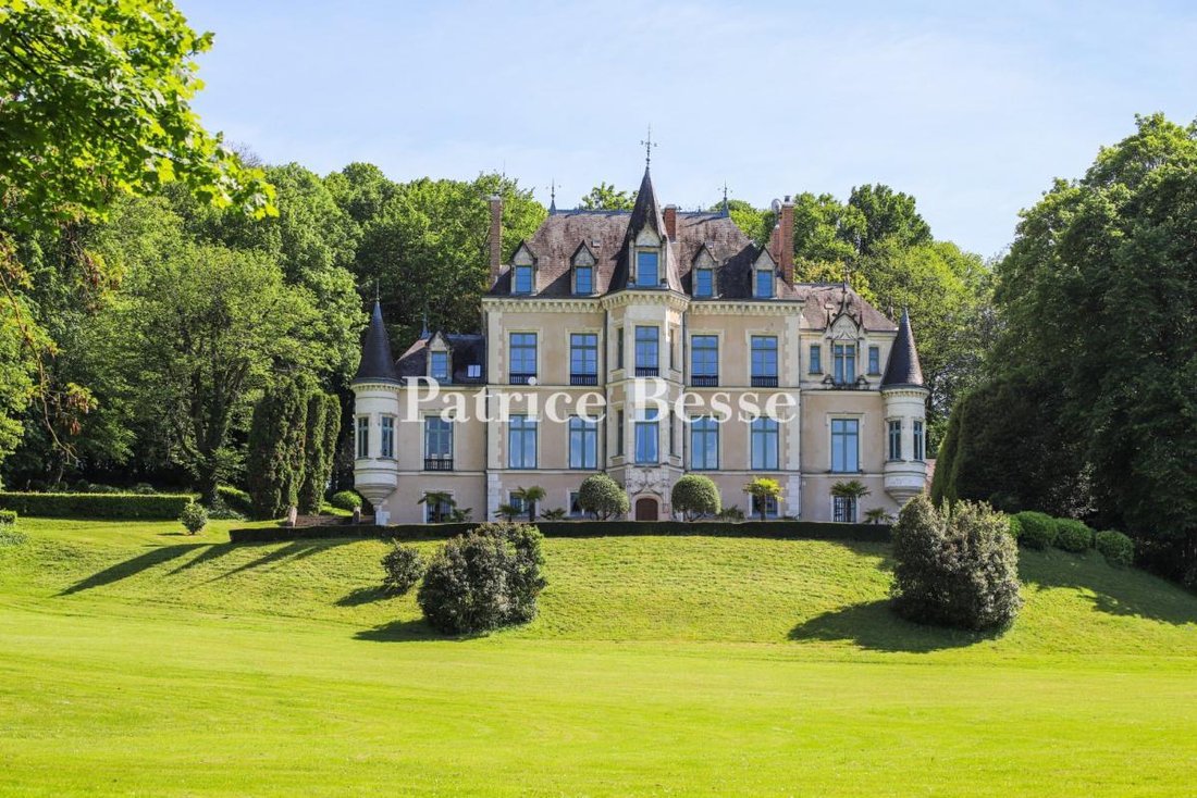 Castle in Le Mans, Pays de la Loire, France 2 - 14453960