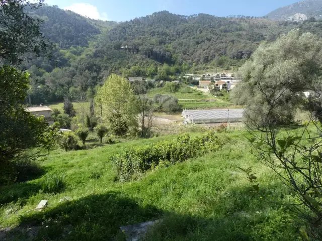 Land in Gorbio, Provence-Alpes-Côte d'Azur, France 1 - 18439806