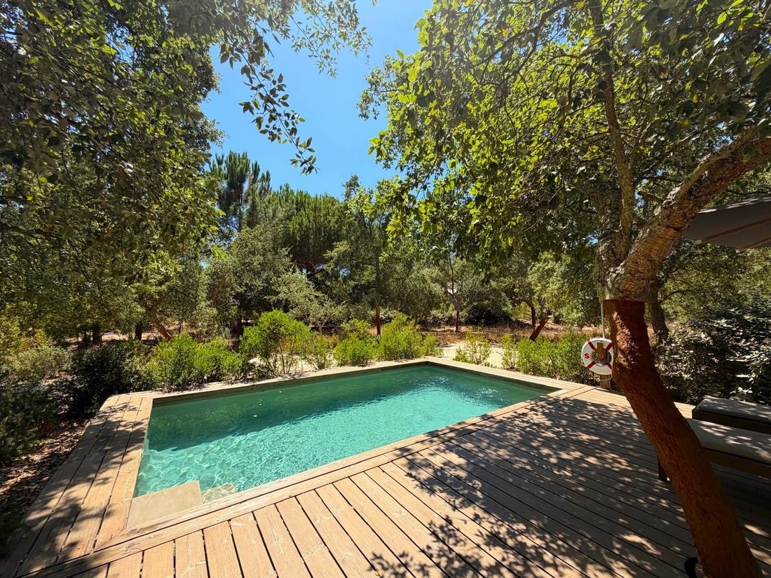 Villa in Grandola e Santa Margarida da Serra, Setubal, Portugal 5 - 18598404