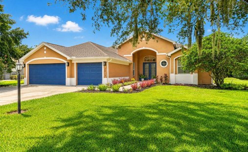 House in Plant City, Florida, United States 1
