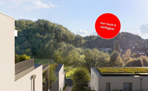 Casa en Hofstetten-Flüh, Soleura, Suiza 1