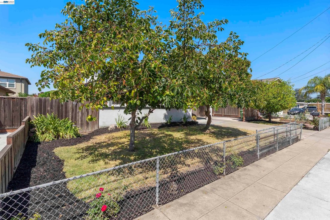 Maison à Fremont, Californie, États-Unis 5 - 18600631