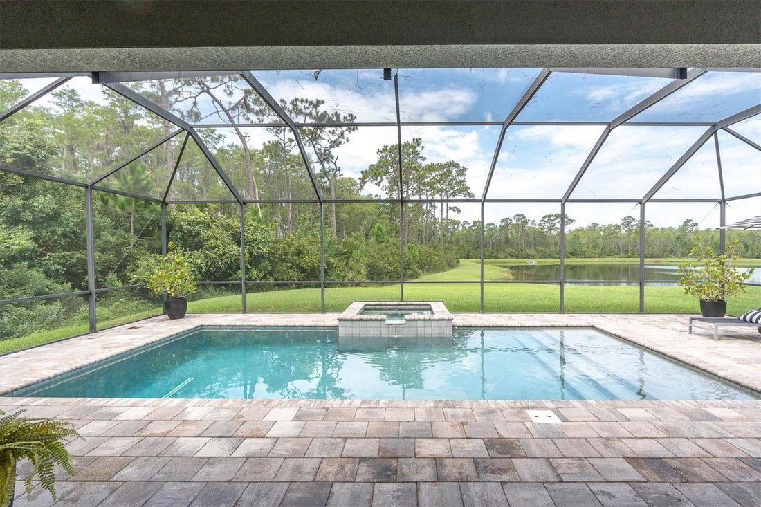 House in Odessa, Florida, United States 5 - 18601292