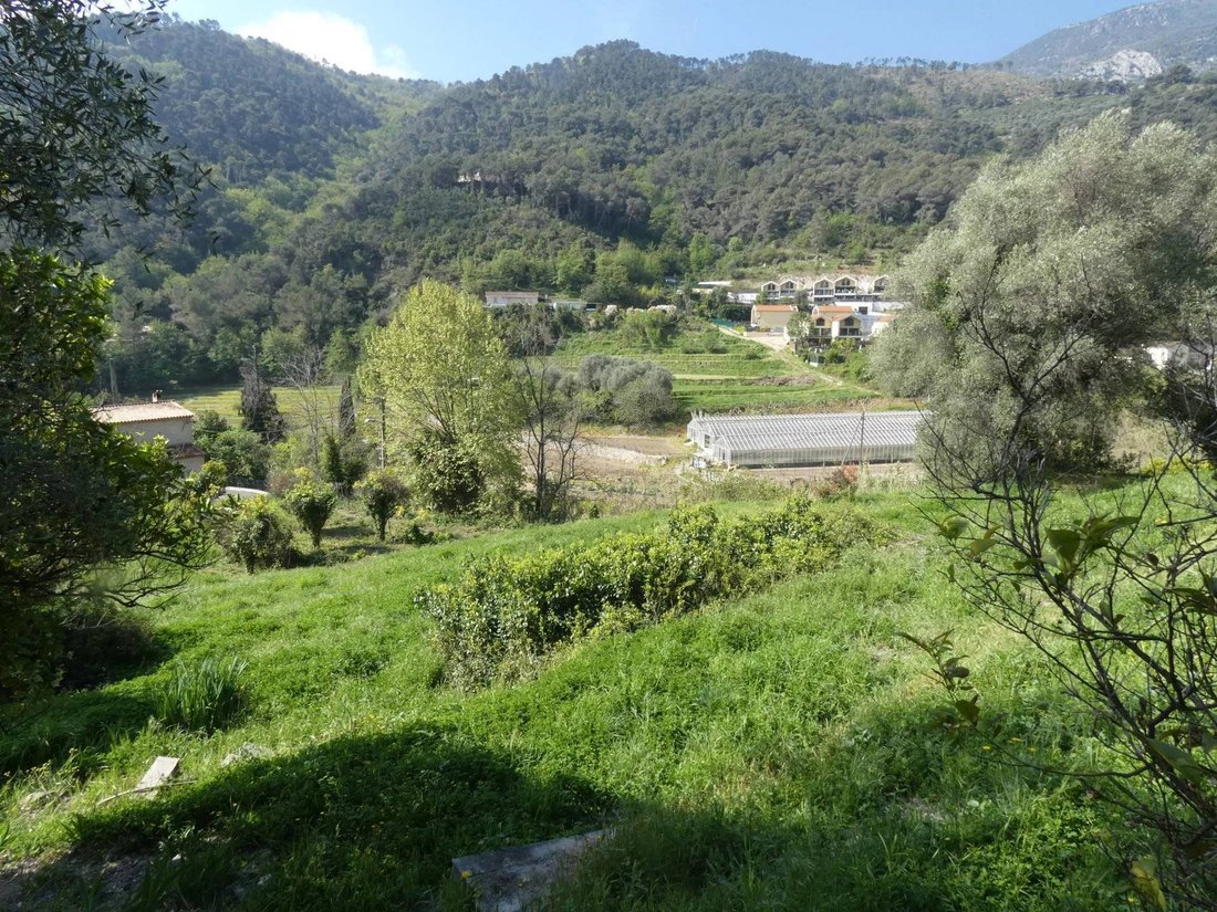 Land in Gorbio, Provence-Alpes-Côte d'Azur, France 1 - 18437230