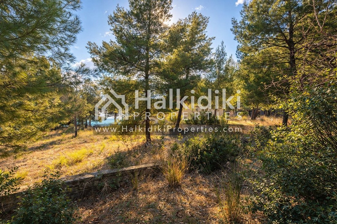 Land in Sithonia, Macedonia and Thrace, Greece 5 - 11865149