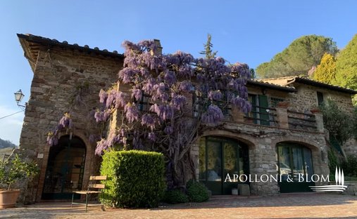 Centro, Greve in Chianti, Tuscany 1