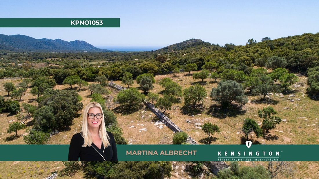 Land in Artà, Balearische Inseln, Spanien 1 - 18596324