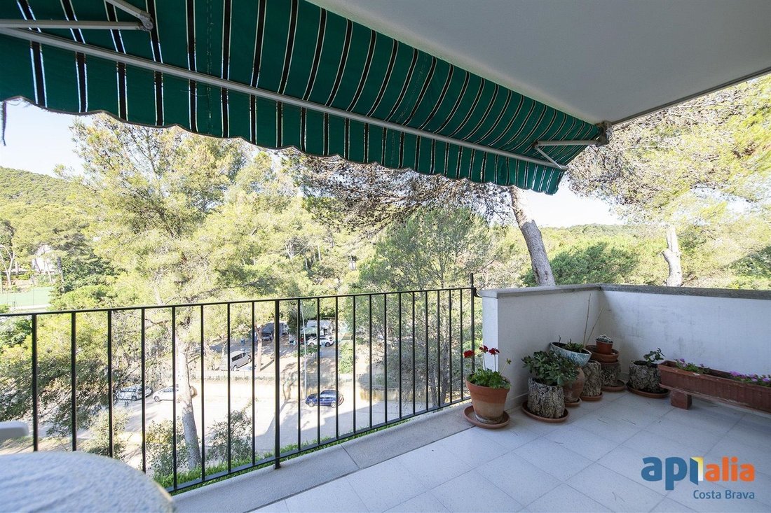 Apartment in Llafranc, Palafrugell, Catalonia 4 - 18597645