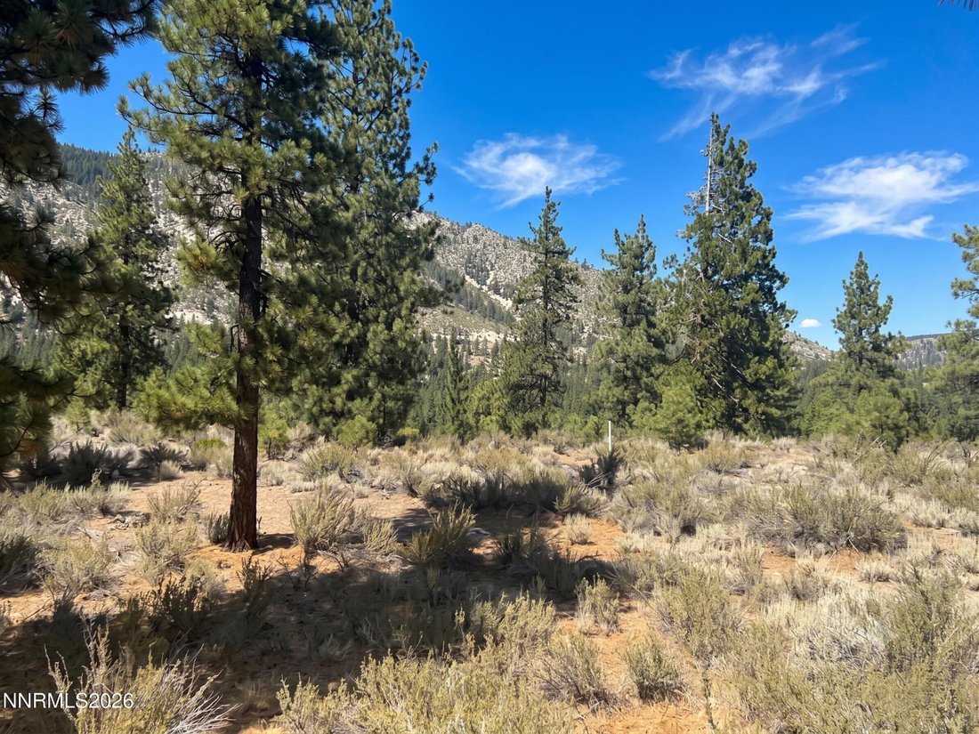 Land in Genoa, Nevada, United States 1 - 18603650