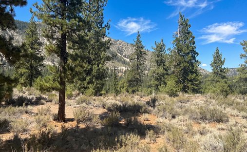 Terreno a Genoa, Nevada, Stati Uniti 1