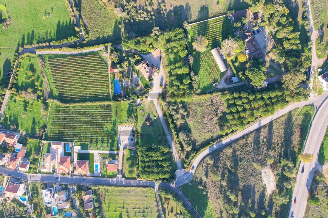 Finca à Azeitao (Sao Lourenco et Sao Simao), Setúbal Municipality, Portugal 5 - 18598569