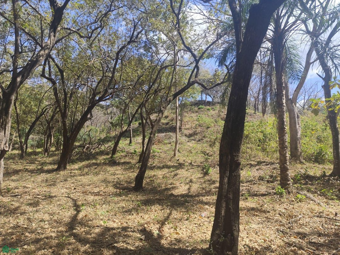 Land in Pinilla, Guanacaste Province, Costa Rica 2 - 17814303
