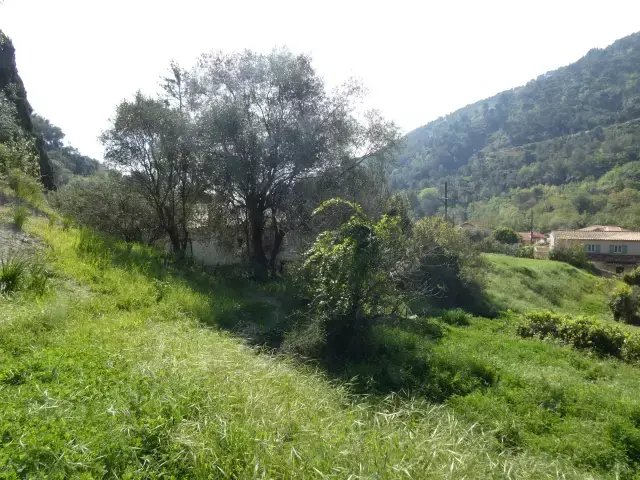 Land in Gorbio, Provence-Alpes-Côte d'Azur, France 4 - 18439806