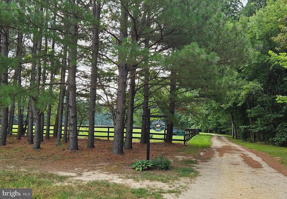 House in Upper Marlboro, Maryland, United States 2 - 18603887
