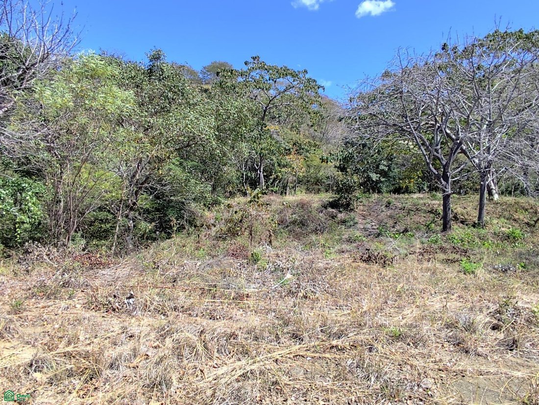 Land in Pinilla, Guanacaste Province, Costa Rica 4 - 17814303