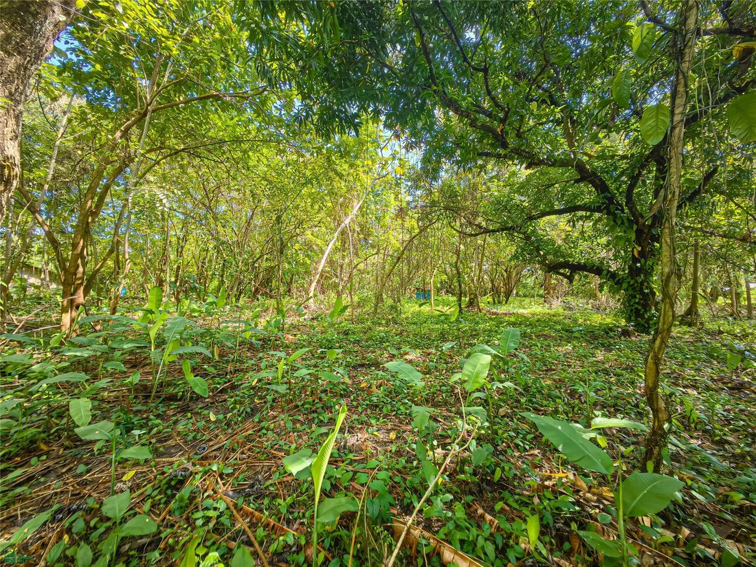 Terrain à Santa Teresa, Puntarenas, Costa Rica 2 - 17810867