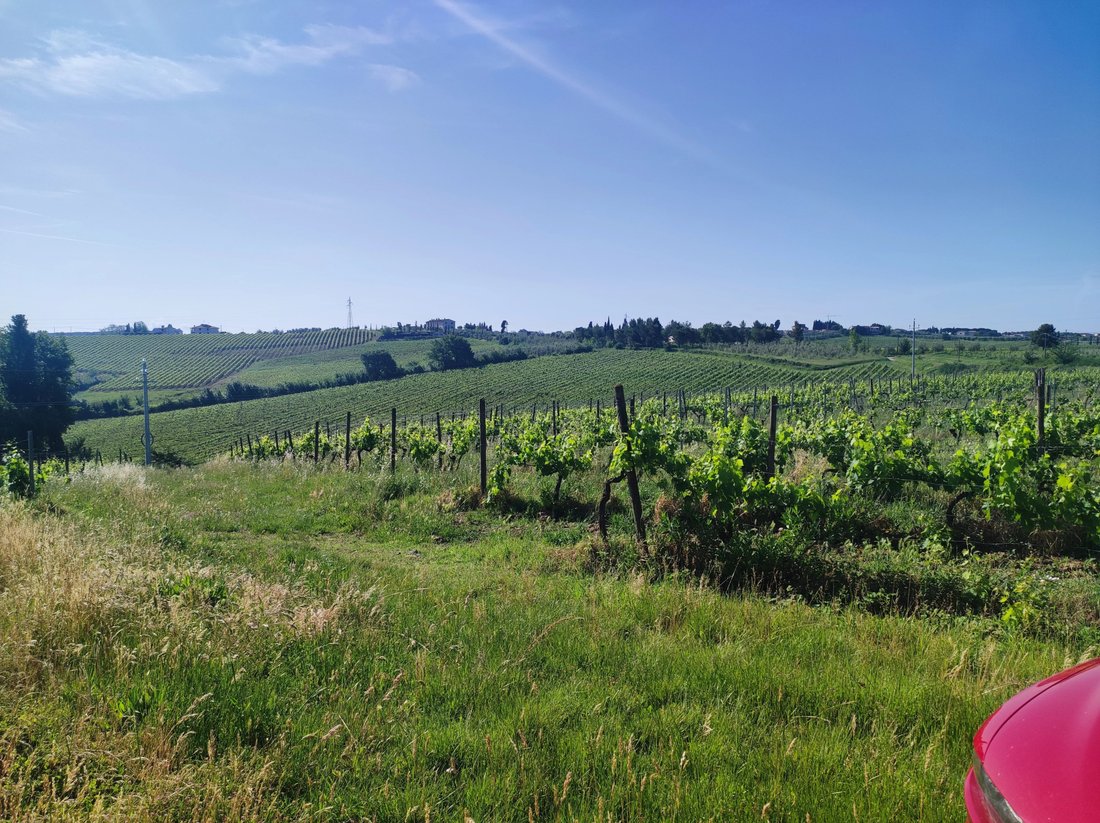 Estate in Center, Cerreto Guidi, Tuscany 5 - 18598335
