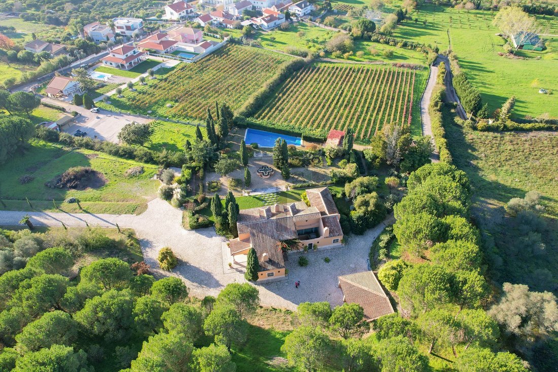 Finca à Azeitao (Sao Lourenco et Sao Simao), Setúbal Municipality, Portugal 3 - 18598569