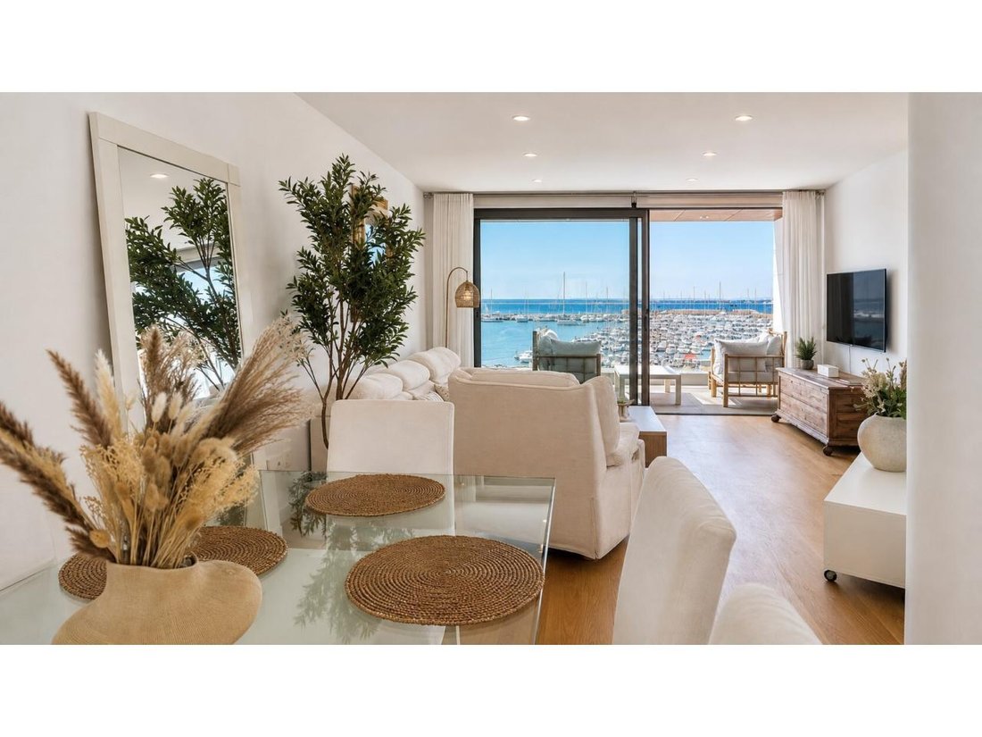 Apartment in Alcudia, Balearic Islands, Spain 4 - 18192503