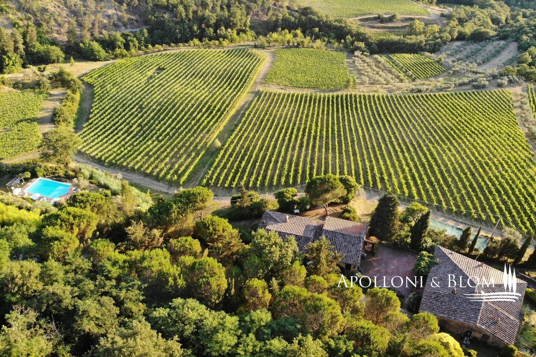Center, Greve in Chianti, Tuscany 1 - 18601489
