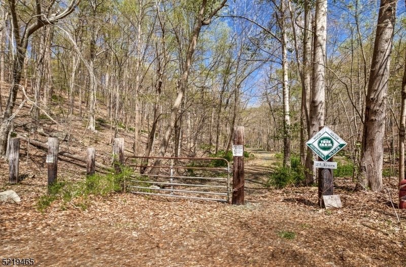 Land in Bernardsville, New Jersey, United States 1 - 18603496
