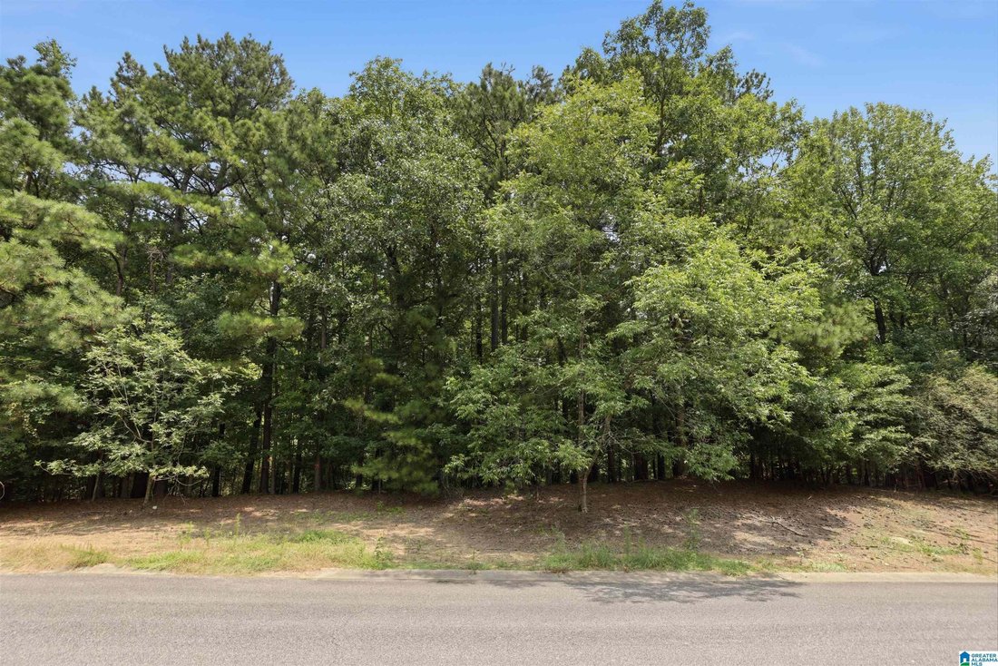 House in Birmingham, Alabama, United States 4 - 18596464