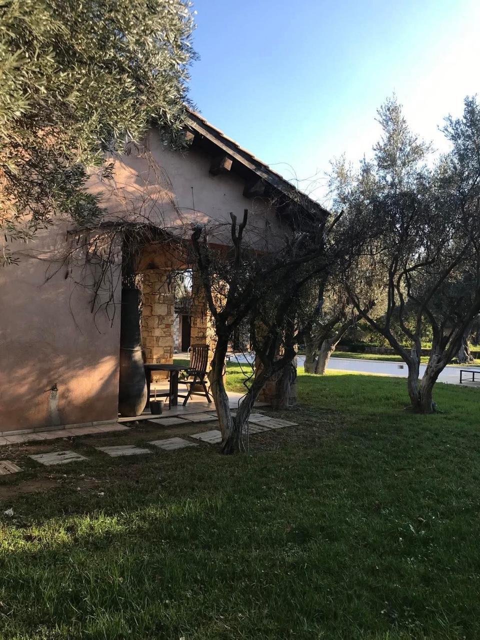 Pallini, Attica, Greece 3 - 18600422
