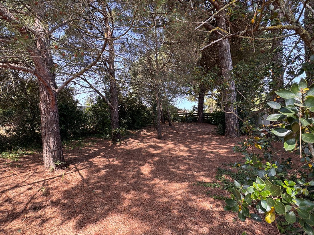 House in Rivedoux-Plage, Nouvelle-Aquitaine, France 2 - 18598247