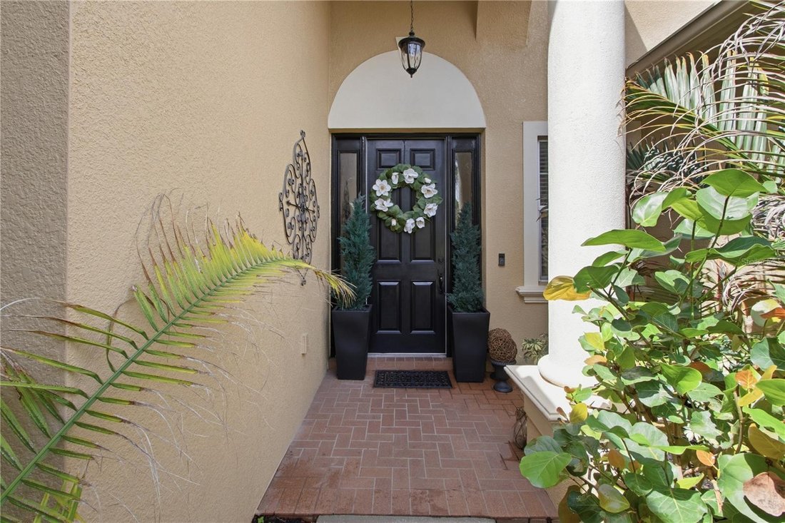 House in Land O' Lakes, Florida, United States 2 - 18601270